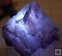 Purple Fluorite Mineral Specimen Muzquiz Mine Mexico Purple Fluorite Mineral Specimen Muzquiz Mine Mexico